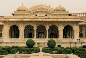 Jaipur: Half-Day Amer Fort, Jal Mahal & Stepwell Tour