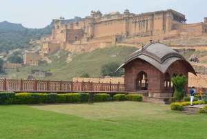 Jaipur: Half-Day Amer Fort, Jal Mahal & Stepwell Tour