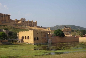 Jaipur: Half-Day Amer Fort, Jal Mahal & Stepwell Tour