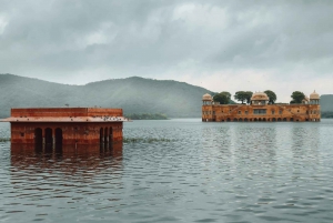 Jaipur: Half-Day Amer Fort, Jal Mahal & Stepwell Tour
