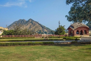 Jaipur: Half-Day Amer Fort, Jal Mahal & Stepwell Tour