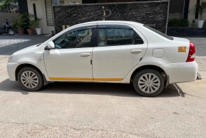 Однодневная экскурсия по Джайпуру на тук-туке с местным чайвалой