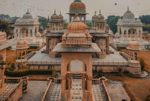 Jaipur: Half or Full-Day Sightseeing Tour with Flower Market