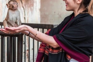 Jaipur: Halv- eller heldags sightseeingtur med guide + afhentning