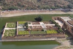 Jaipur: Halv- eller heldags sightseeingtur med guide + afhentning