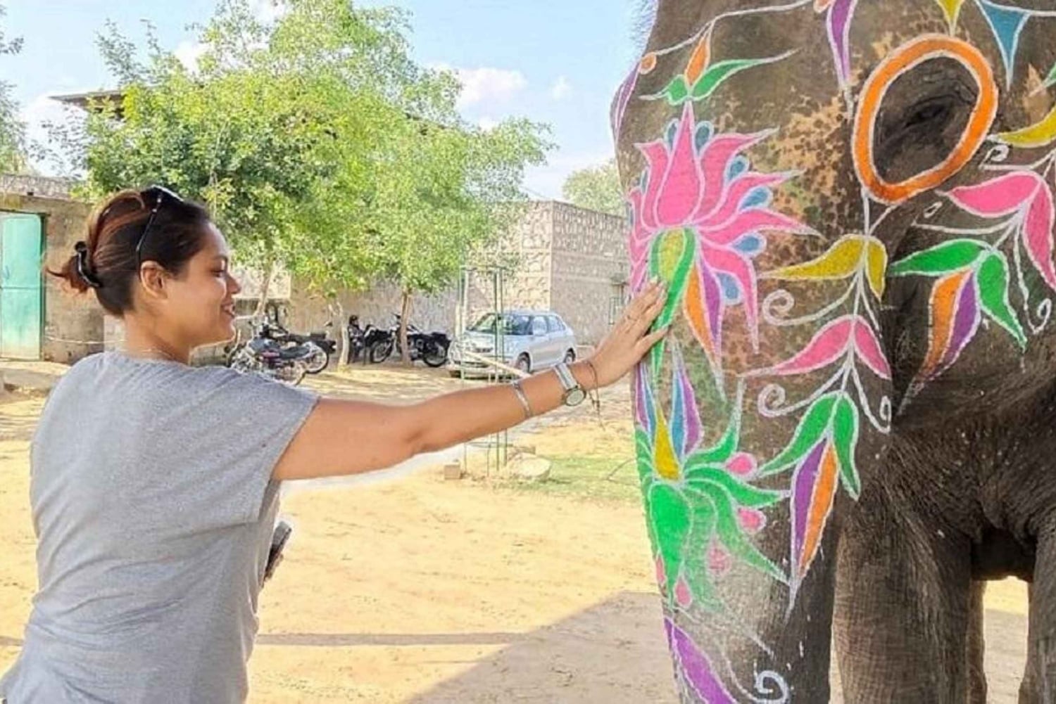 ジャイプル：ハティガオンで象乗り、象の絵付け、餌付けなどを体験しましょう