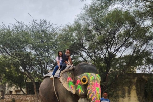 Jaipur: Hathi Gaon – norsuratsastusta, maalausta, ruokintaa ja paljon muuta