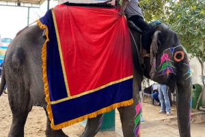 Jaipur: Hathi Gaon – norsuratsastusta, maalausta, ruokintaa ja paljon muuta