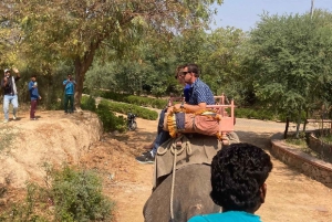 Jaipur: Hathi Gaon – norsuratsastusta, maalausta, ruokintaa ja paljon muuta