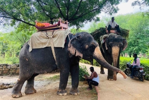 Jaipur: Hathi Gaon – norsuratsastusta, maalausta, ruokintaa ja paljon muuta