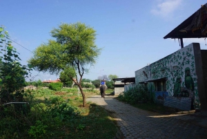 Jaipur: Hathi Gaon – norsuratsastusta, maalausta, ruokintaa ja paljon muuta