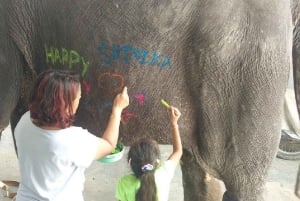 ジャイプル：ハティガオンで象乗り、象の絵付け、餌付けなどを体験しましょう