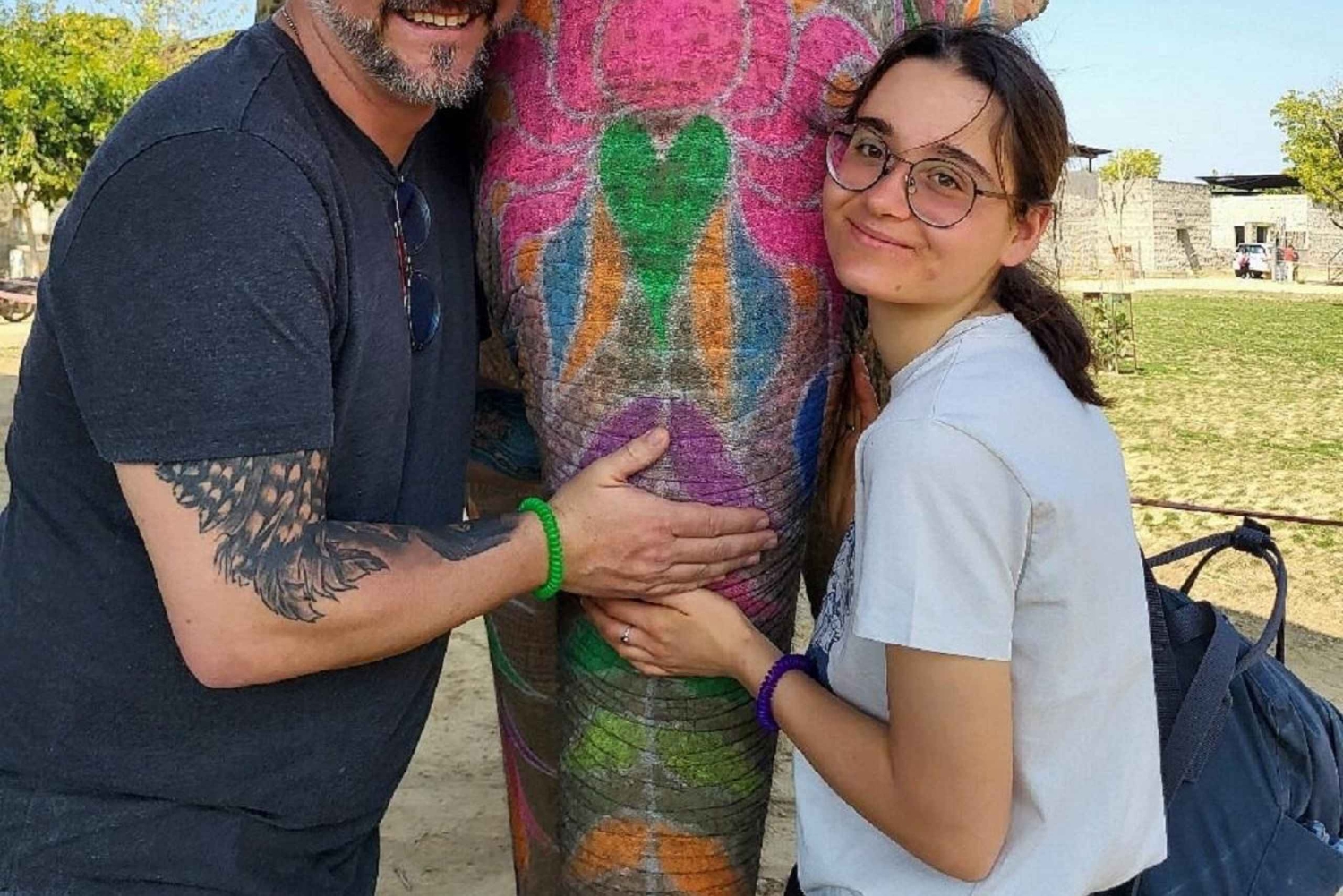 ジャイプル：ハティガオ象村で象乗り体験、餌付け、写真撮影をお楽しみください