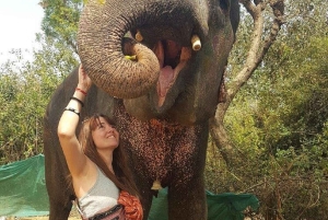 ジャイプル：ハティガオ象村で象乗り体験、餌付け、写真撮影をお楽しみください