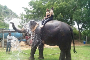 ジャイプル：ハティガオ象村で象乗り体験、餌付け、写真撮影をお楽しみください