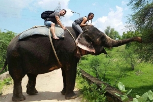 ジャイプル：ハティガオ象村で象乗り体験、餌付け、写真撮影をお楽しみください