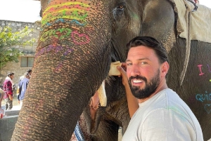 ジャイプル：ハティガオ象村で象乗り体験、餌付け、写真撮影をお楽しみください