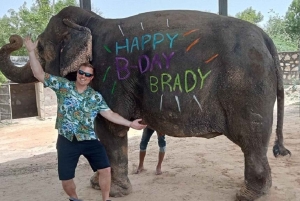 ジャイプル：ハティガオ象村で象乗り体験、餌付け、写真撮影をお楽しみください