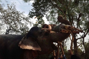 ジャイプル：ハティガオ象村で象乗り体験、餌付け、写真撮影をお楽しみください
