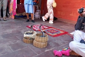 Jaipur: Hel- eller halvdagsutflykt guidad stadsvandring
