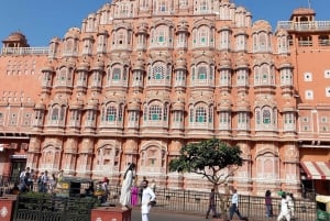 Jaipur: Hel- eller halvdagsutflykt guidad stadsvandring