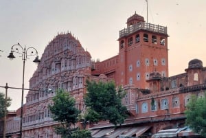 Jaipur: Hel- eller halvdagsutflykt guidad stadsvandring