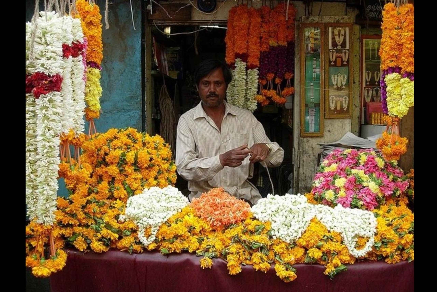 Jaipur Heritage Walk