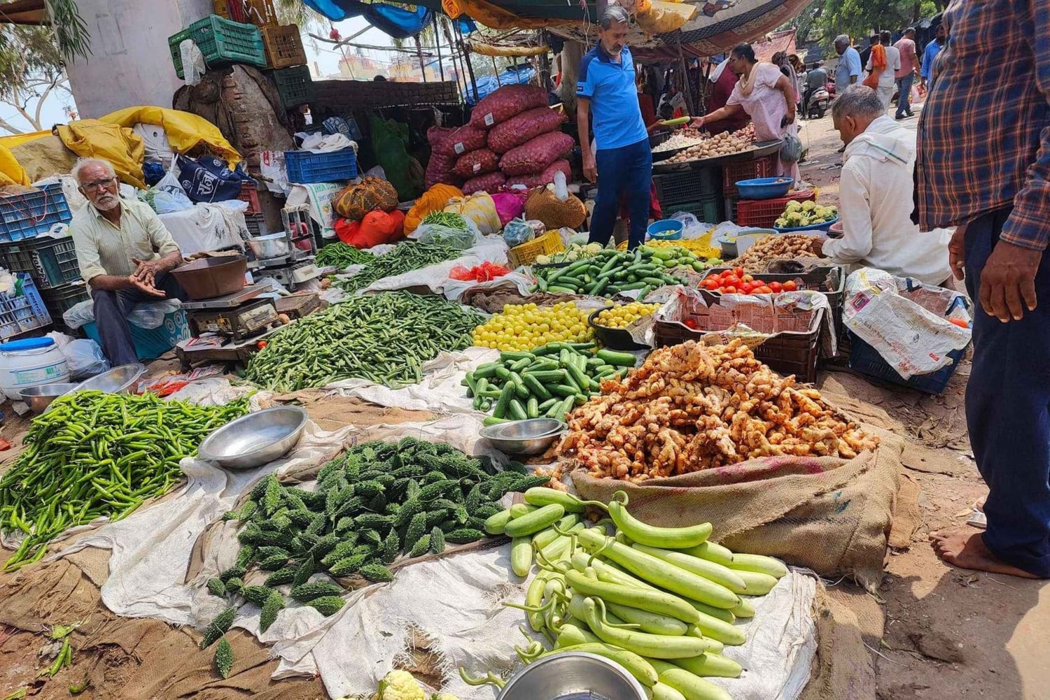 Jaipur Heritage Walking Tour & Cooking Class with a Local