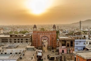 Jaipur: Privat dagsutflykt till den rosa staden med apornas tempel