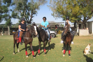 Jaipur Horse Riding Adventure