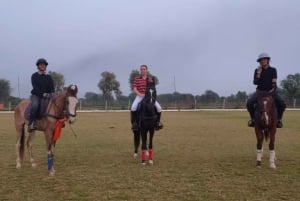 Jaipur Horse Riding Adventure