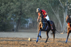 Jaipur Horse Riding Adventure