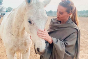 Jaipur Horse Riding Adventure