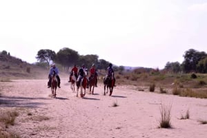 Jaipur Horse Riding Adventure