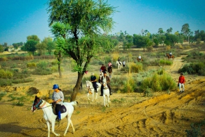 Jaipur Horse Riding Adventure