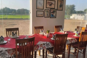 Jaipur ratsastusseikkailu