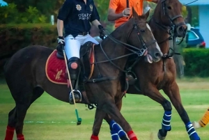 Jaipur ratsastusseikkailu