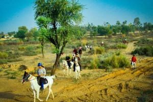 Jaipur ratsastusseikkailu