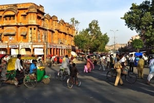 Jaipur: Jaipur & Amber Fort Hel- eller halvdagstur med guide