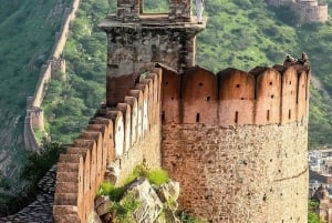 Safari de jipe em Jaipur: Fortes de Amber, Jaigarh, Nahargarh e Stepwell