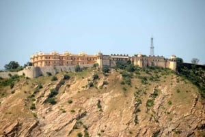 Safari de jipe em Jaipur: Fortes de Amber, Jaigarh, Nahargarh e Stepwell