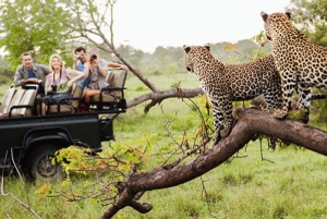 Jaipur: Jhalana/Amargarh Leopard Safari -yksityiskierros