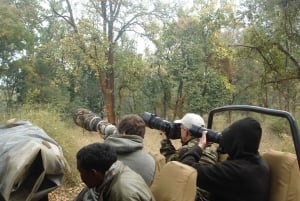 Jaipur: Leopards Safari Tour at Jhalana l Spot Wild Animals