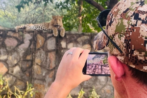 Jaipur: Leopards Safari Tour at Jhalana l Spot Wild Animals