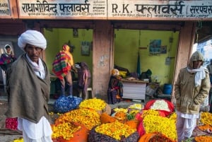 Jaipur: Lokal livsstil, markeder og madtur