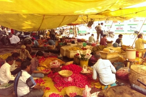 Jaipur : Visite magique à pied des palais historiques