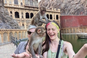 Jaipur: Monkey Temple, Sightseeing City Tour by Car /Tuk Tuk