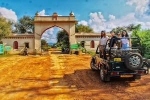 Jaipur: Safari matutino a Sariska con comida y traslados
