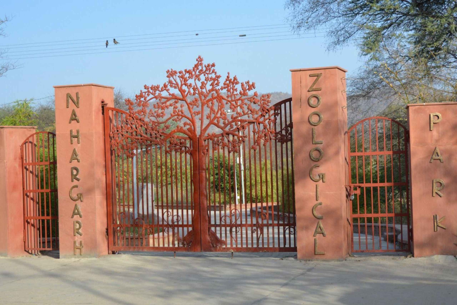 Jaipur: Inngangsbillett til Nahargarh Biological Park