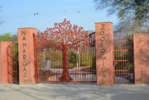 Jaipur: Nahargarh Biological Park Entry Ticket